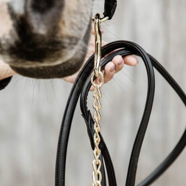 Kentucky Horsewear Leather Chain Lead