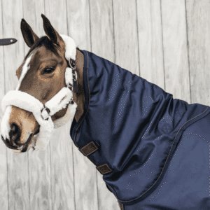 Kentucky Horsewear Neck All Weather Waterproof Pro 150g Navy - Image 1