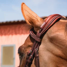 CWD Anatomic french noseband bridle with fancy stitching BR09FHSP - Image 4