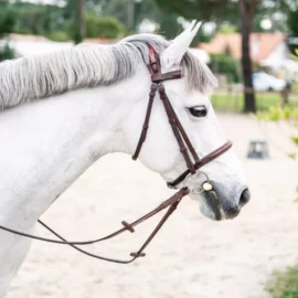 CWD Anatomic french noseband bridle with fancy stitching BR09FHSP - Image 5