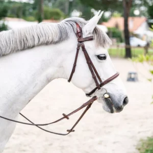 CWD Anatomic french noseband bridle with fancy stitching BR09FHSP - Image 5