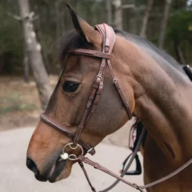 CWD Anatomic french noseband bridle with fancy stitching BR09FHSP - Image 6
