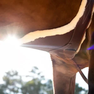 CWD Belly guard girth with removable artificial sheepskin lining SA18C - Image 5