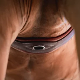 CWD Classic Girth SA02 - Image 5