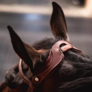 CWD Flexmotion Bridle BR19F - Image 8