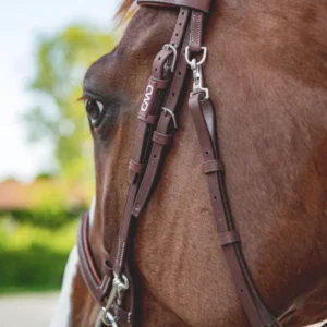 CWD French noseband training bridle BR11FH - Image 6