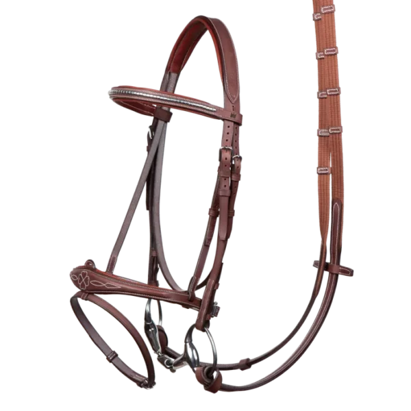 CWD Harrie Smolders bridle + reins. The original bridle BR13F