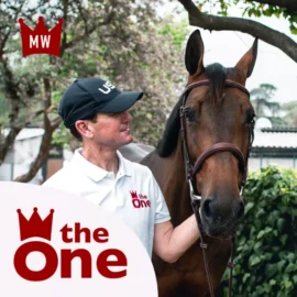 CWD Mclain Ward bridle + reins. The classic bridle BR15F - Image 5