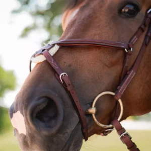 CWD Raised figure 8 noseband bridle BR08CH - Image 3