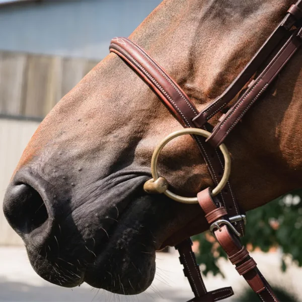 CWD Raised French Noseband Bridle with fancy stitching BR08FHSP - Image 4