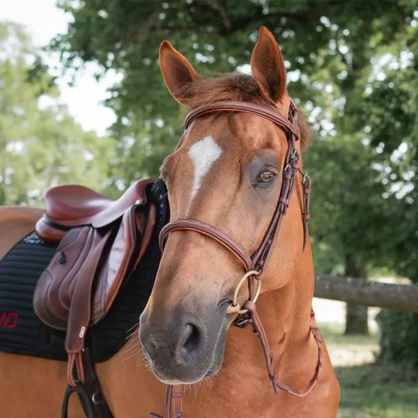 CWD Raised French Noseband Bridle with fancy stitching BR08FHSP - Image 5