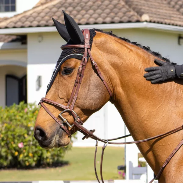 CWD Raised French Noseband Bridle with fancy stitching BR08FHSP - Image 6