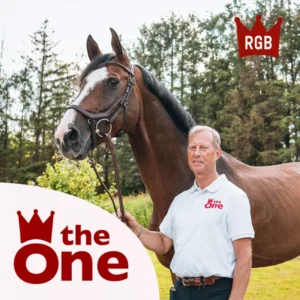 CWD Rolf-Goran Bengtsson bridle + reins. The sensitive BR17F - Image 5