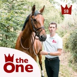 CWD Scott Brash bridle + reins. The perfectionist BR18F - Image 5