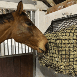 Ezehay Hay Feeder Haynet Replacement