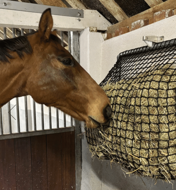 Ezehay Hay Feeder Haynet Replacement