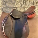 CWD Optim Jump Saddle