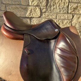 CWD Optim Jump Saddle