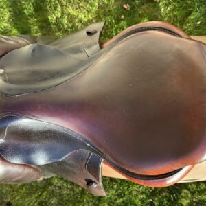 CWD Optim Jump Saddle