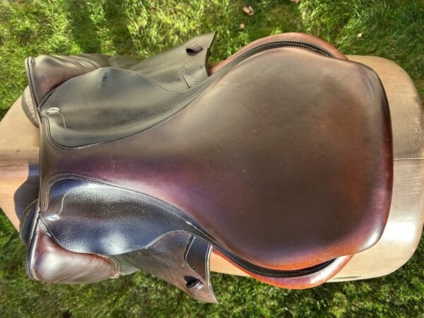 CWD Optim Jump Saddle
