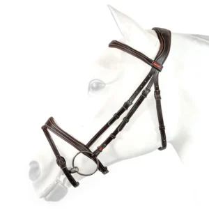 Equipe BR71 Flash Bridle with Anatomical Headpiece