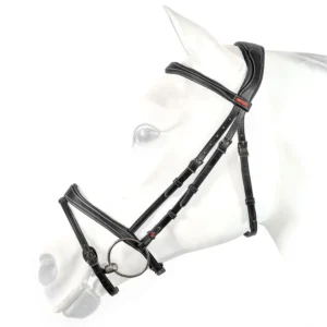 Equipe BR71 Flash Bridle with Anatomical Headpiece