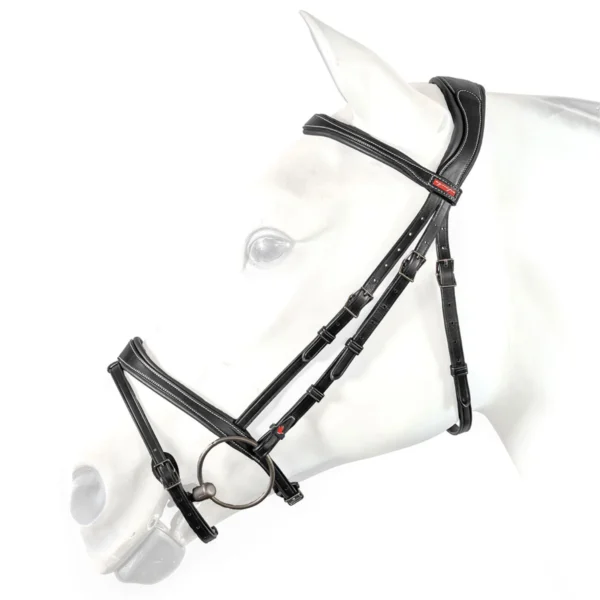 Equipe BR71 Flash Bridle with Anatomical Headpiece